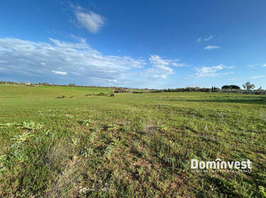 foto principale del terreno
