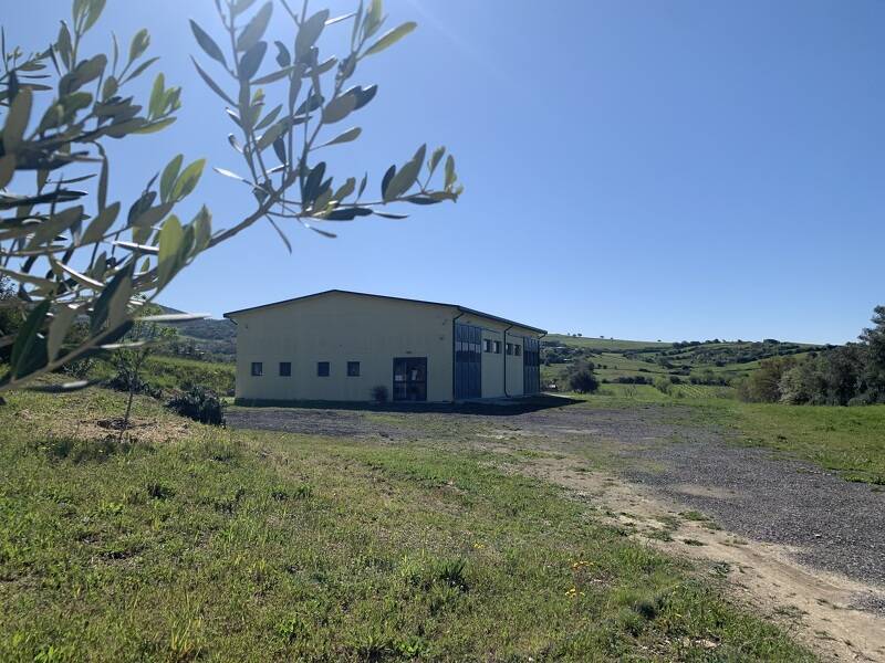 foto principale del terreno