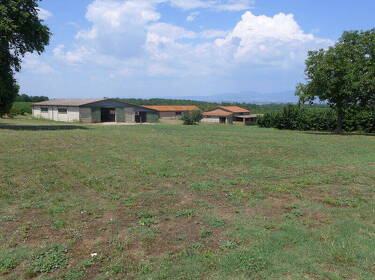 foto principale del terreno