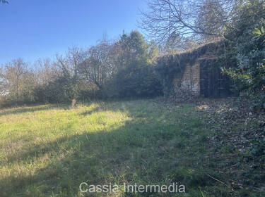 foto principale del terreno