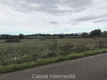 foto principale del terreno