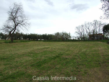 foto principale del terreno