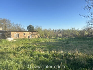 foto principale del terreno