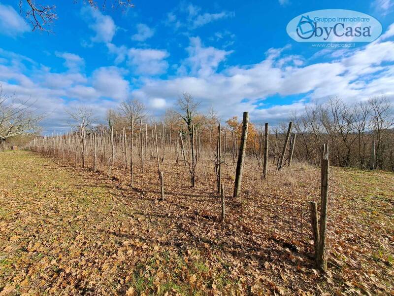 foto principale del terreno