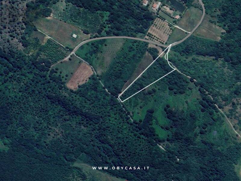 foto principale del terreno