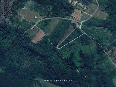 foto principale del terreno