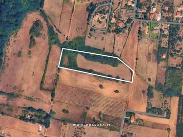 foto principale del terreno